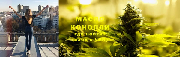 сатива Новозыбков
