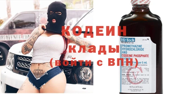 сатива Новозыбков