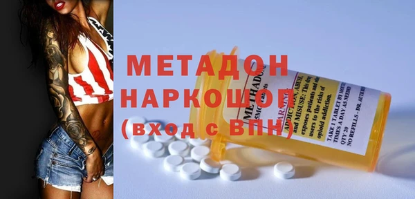 сатива Новозыбков