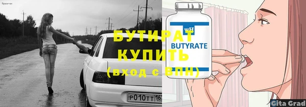 сатива Новозыбков
