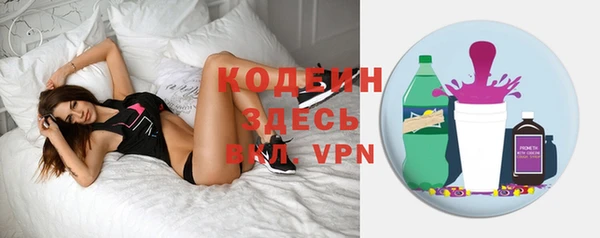 сатива Новозыбков
