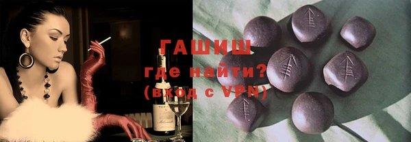 сатива Новозыбков