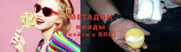 сатива Новозыбков