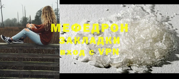 сатива Новозыбков