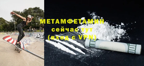 сатива Новозыбков