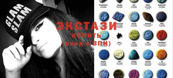 сатива Новозыбков
