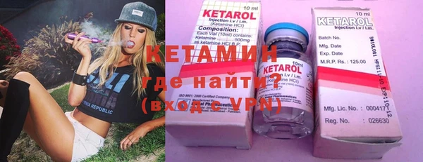 сатива Новозыбков