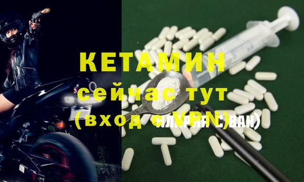сатива Новозыбков